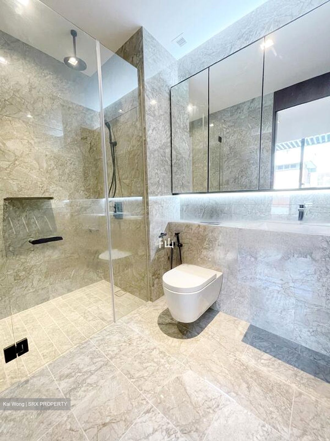 Jervois Privé (D10), Apartment #434309351